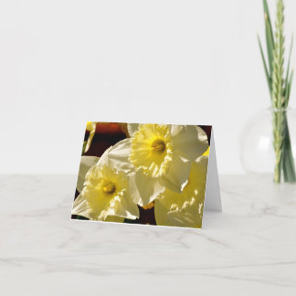 Daffodils Note Card
