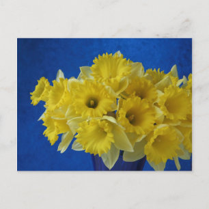 daffodils postcard