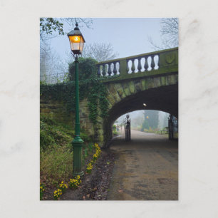 Daffodils postcard