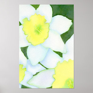 Daffodils Poster