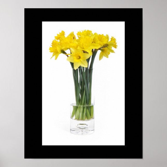 Daffodils Poster (Front)