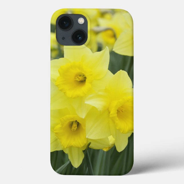Daffodils RF) Case-Mate iPhone Case (Back)