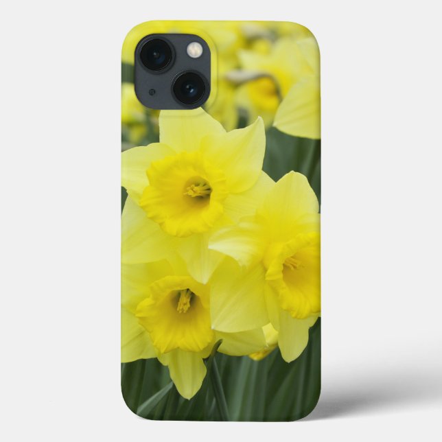 Daffodils RF) Case-Mate iPhone Case (Back)