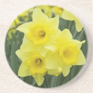Daffodils RF) Coaster