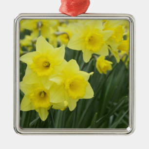 Daffodils RF) Metal Tree Decoration