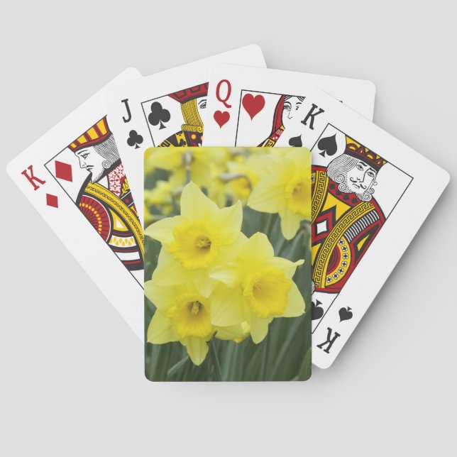 Daffodils RF) Playing Cards (Back)