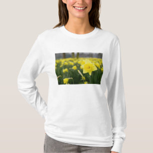 Daffodils (RF) T-Shirt