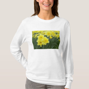 Daffodils RF) T-Shirt