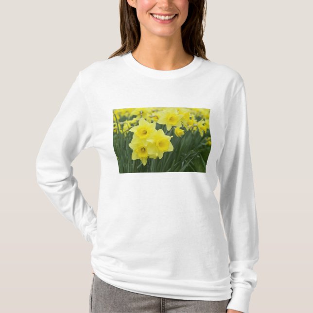 Daffodils RF) T-Shirt (Front)