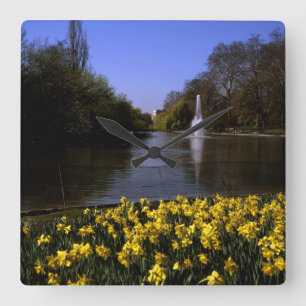 Daffodils St James's Park London Square Wall Clock