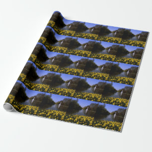 Daffodils St James's Park London Wrapping Paper