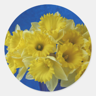 daffodils stickers small