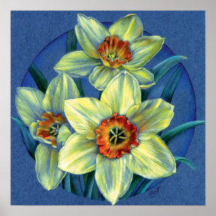 ‘Daffodils – the joys of spring’ fine art po Poster