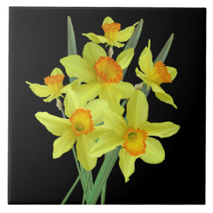 Daffodils Tile