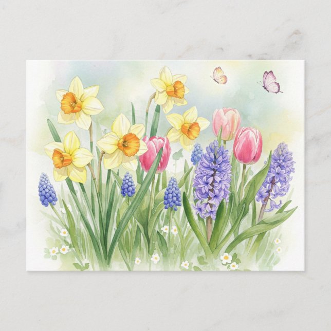 Daffodils, Tulips, Hyacinths, Butterflies Postcard (Front)