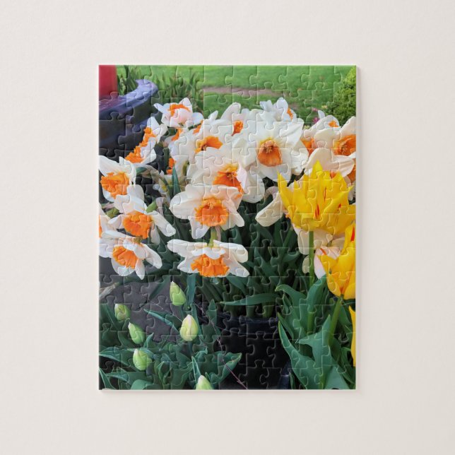 Daffodils & Tulips, Oregon Jigsaw Puzzle (Vertical)