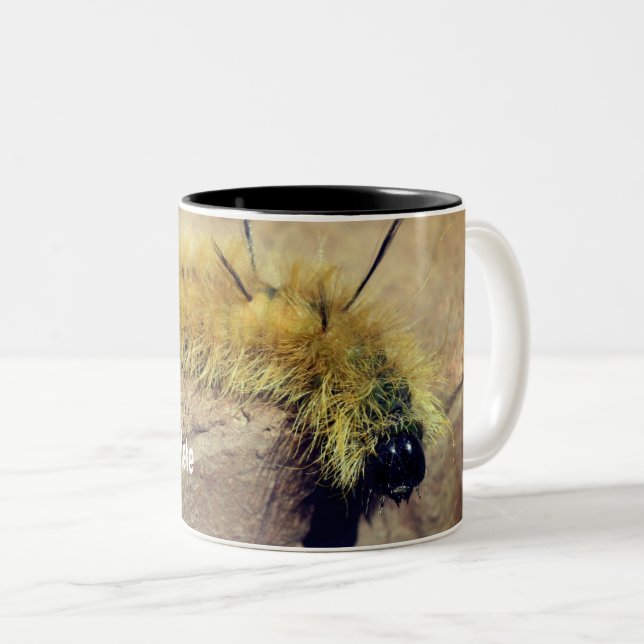 Dagger Moth Caterpillar Nature Personalised Two-Tone Coffee Mug (Front Right)