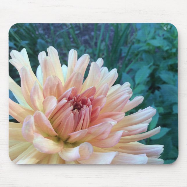 Dahlia B: Yellow and salmon --- Mouse Pad (Front)