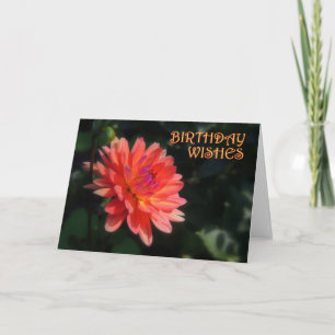 Dahlia Birthday 1 Card