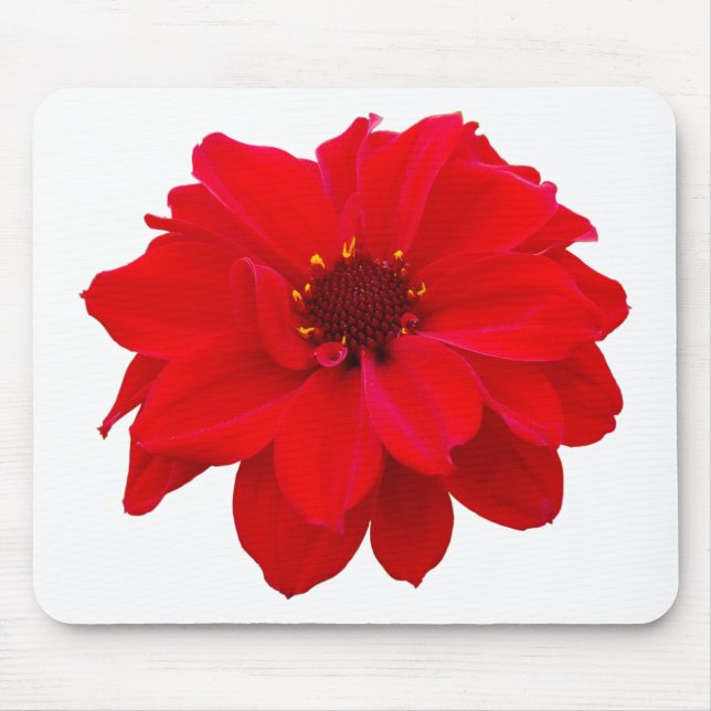 Dahlia - Bishop of Llandaff Mouse Pad (Front)