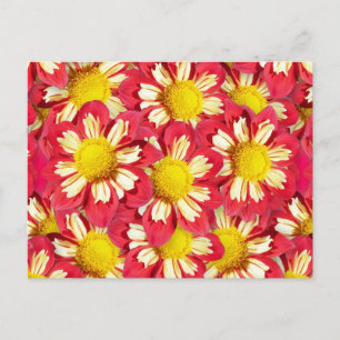 Dahlia bouquet - coral and white with yellow postcard