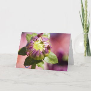 Dahlia bud greeting card