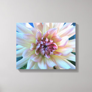 DAHLIA: C Yellow and Salmon  --- Canvas Print