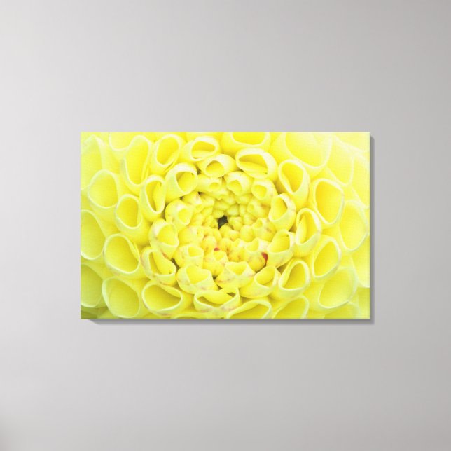 Dahlia Canvas Print (Front)