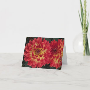 Dahlia Card