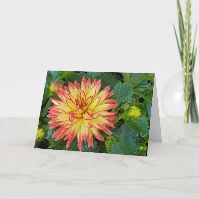 Dahlia Card (Front)