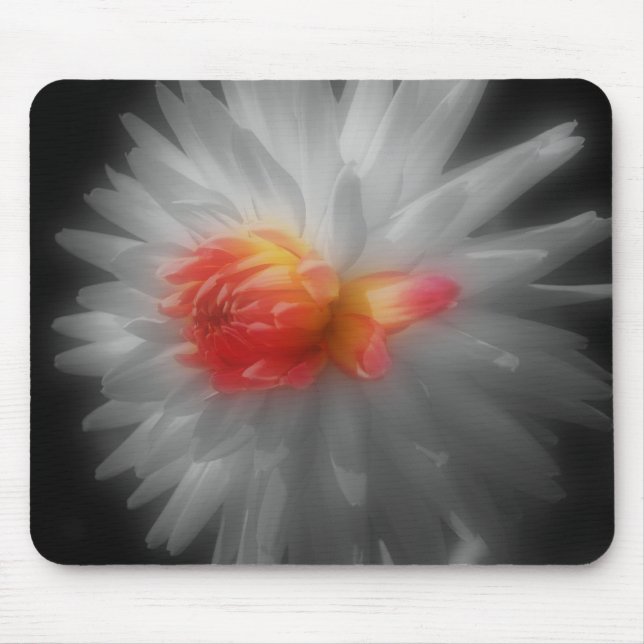 Dahlia Close Up Flower Black White Mousepad (Front)