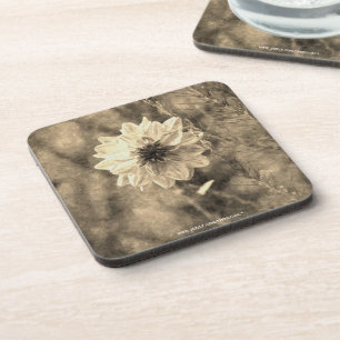 Dahlia Coaster