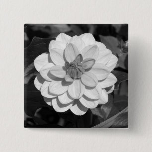Dahlia 'David Howard'  B&W 15 Cm Square Badge