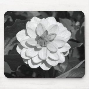 Dahlia 'David Howard' B&W Mouse Pad