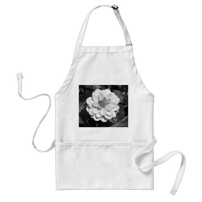 Dahlia 'David Howard' B&W Standard Apron (Front)