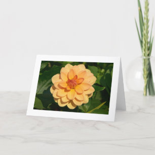 Dahlia 'David Howard' (bordered) Card