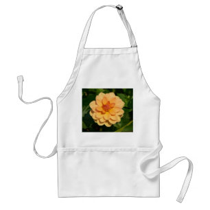 Dahlia 'David Howard' Standard Apron