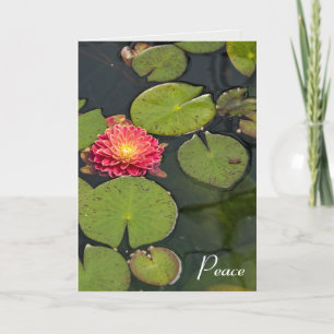 Dahlia Floating With Lily Pads Sympathy Thank You Card