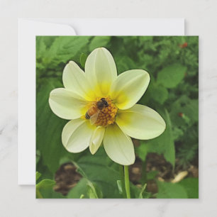 Dahlia flower and bee card