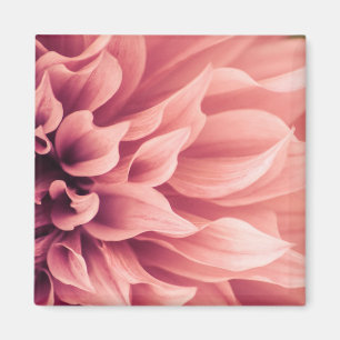 Dahlia Flower Blossom Magnet