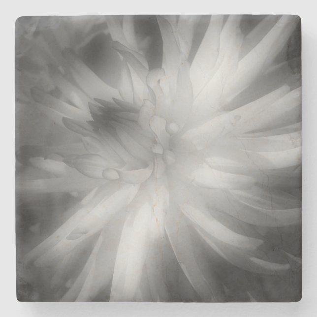 Dahlia Flower In Black And White Stone Coaster (Front)