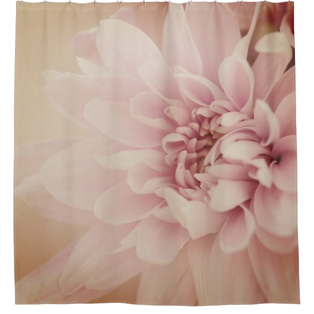 Dahlia flower pink and gold floral shower curtain (Front)