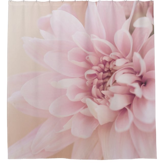 Dahlia flower pink  cream and floral shower curtain (Front)