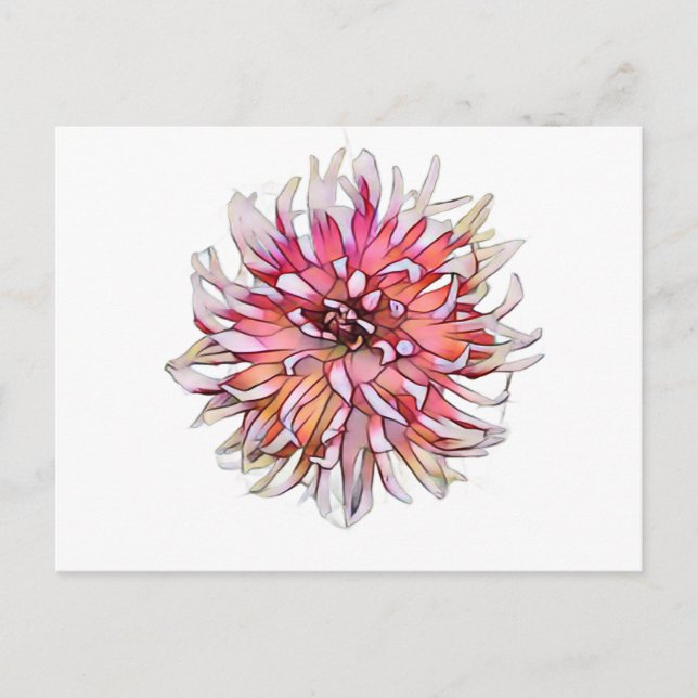 DAHLIA FLOWER POSTCARD (Front)