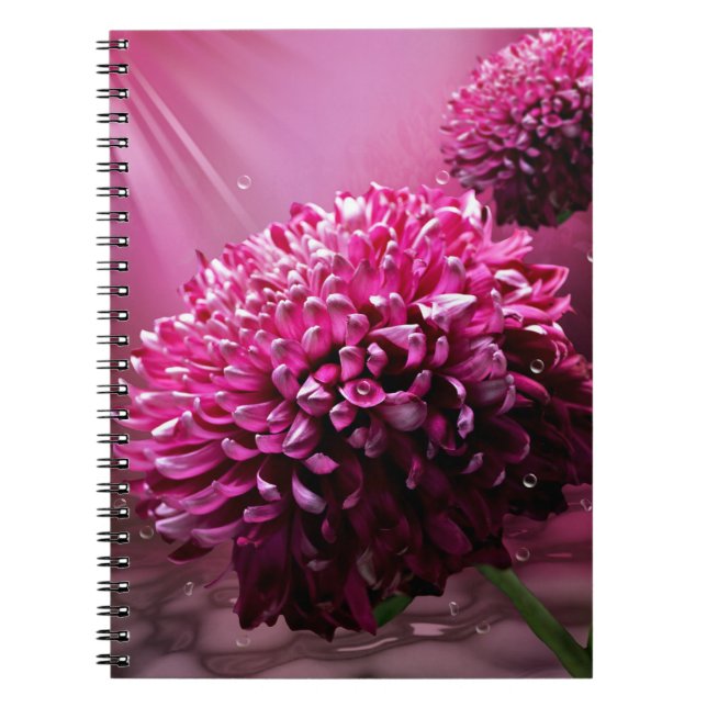 Dahlia Flowers Notebook (Front)