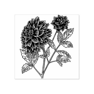 Dahlia flowers Rubber stamp