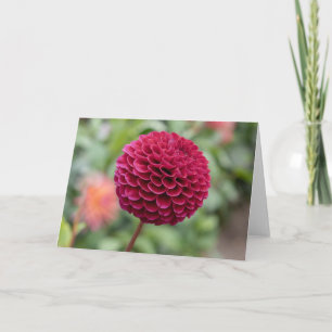 Dahlia Fuschia Card