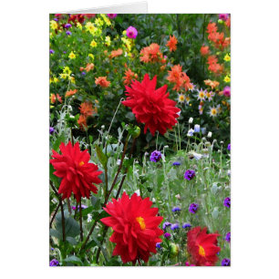 Dahlia Garden Flowers Floral Greeting Card