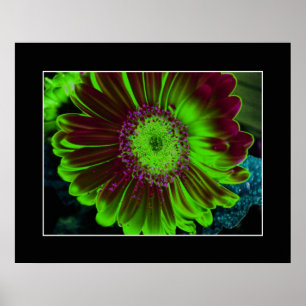 Dahlia Green Poster