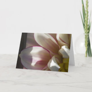 Dahlia greeting card